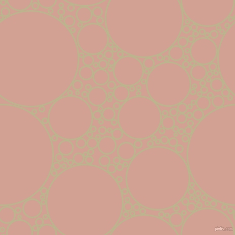bubbles, circles, sponge, big, medium, small, 3 pixel line width, Coriander and Rose circles bubbles sponge soap seamless tileable