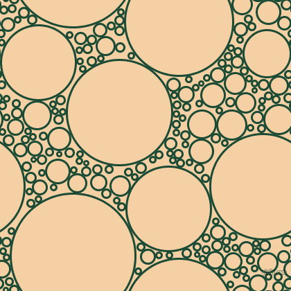 bubbles, circles, sponge, big, medium, small, 3 pixel line widthCounty Green and Tequila circles bubbles sponge soap seamless tileable