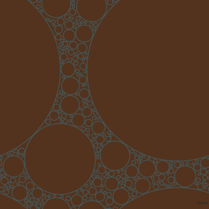 bubbles, circles, sponge, big, medium, small, 3 pixel line width, Dark Slate and Brown Bramble circles bubbles sponge soap seamless tileable