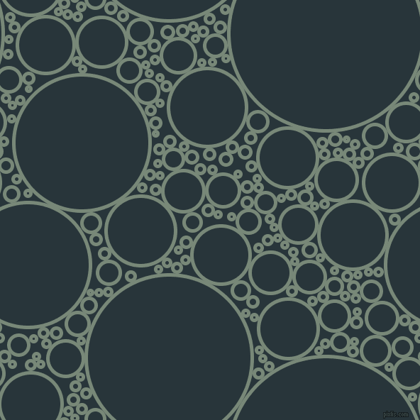 bubbles, circles, sponge, big, medium, small, 5 pixel line width, Davy