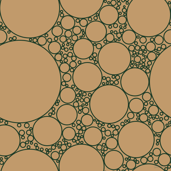 bubbles, circles, sponge, big, medium, small, 3 pixel line width, Deep Fir and Fallow circles bubbles sponge soap seamless tileable