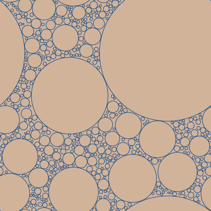 bubbles, circles, sponge, big, medium, small, 2 pixel line width, Endeavour and Cashmere circles bubbles sponge soap seamless tileable