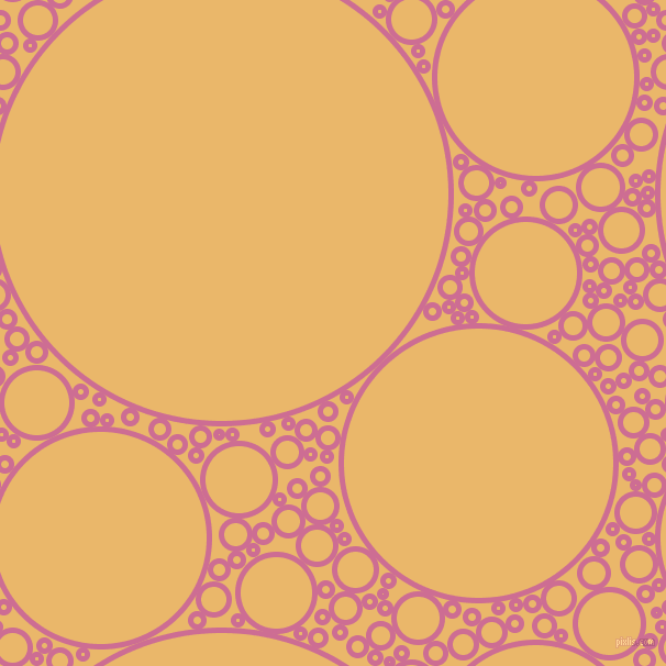 bubbles, circles, sponge, big, medium, small, 5 pixel line width, Hopbush and Harvest Gold circles bubbles sponge soap seamless tileable