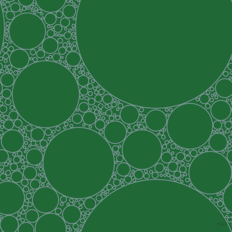 bubbles, circles, sponge, big, medium, small, 3 pixel line width, Juniper and Camarone circles bubbles sponge soap seamless tileable