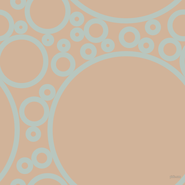 bubbles, circles, sponge, big, medium, small, 17 pixel line width, Nebula and Cashmere circles bubbles sponge soap seamless tileable