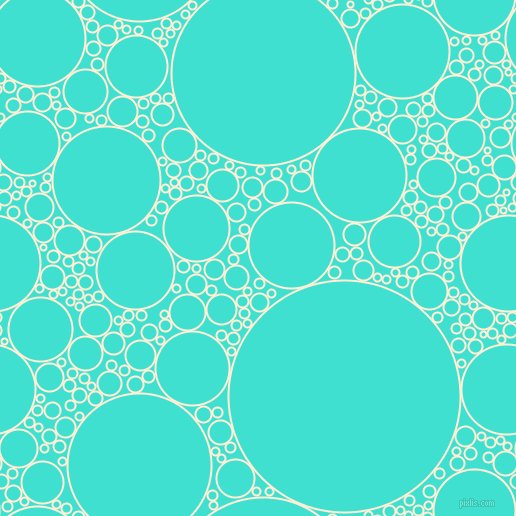 bubbles, circles, sponge, big, medium, small, 2 pixel line width, Papaya Whip and Turquoise circles bubbles sponge soap seamless tileable