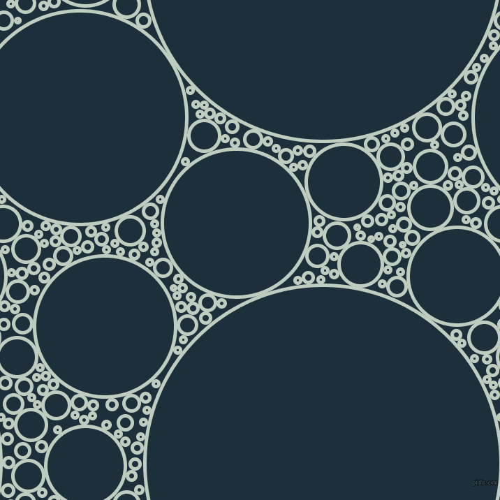 bubbles, circles, sponge, big, medium, small, 5 pixel line width, Paris White and Tangaroa circles bubbles sponge soap seamless tileable