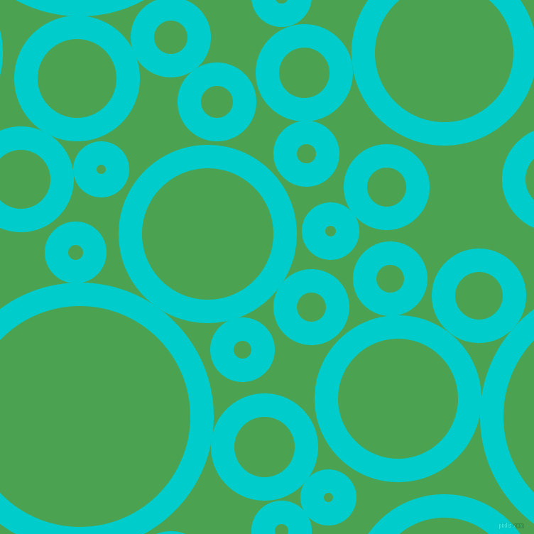 bubbles, circles, sponge, big, medium, small, 33 pixel line width, Robin