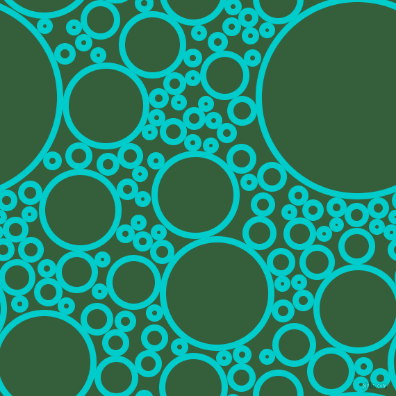 bubbles, circles, sponge, big, medium, small, 9 pixel line width, Robin