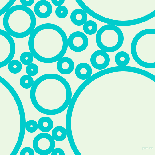 bubbles, circles, sponge, big, medium, small, 17 pixel line width, Robin