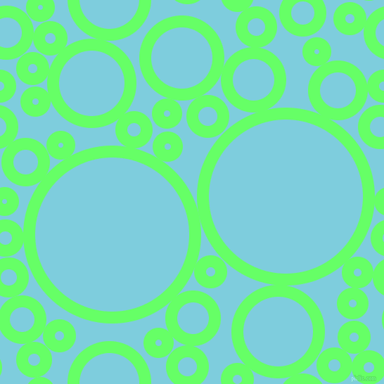 bubbles, circles, sponge, big, medium, small, 17 pixel line width, Screamin