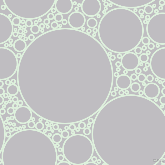 bubbles, circles, sponge, big, medium, small, 5 pixel line width, Tara and French Grey circles bubbles sponge soap seamless tileable