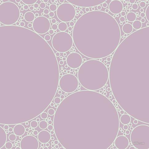 bubbles, circles, sponge, big, medium, small, 2 pixel line width, Tara and Maverick circles bubbles sponge soap seamless tileable