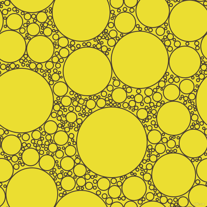bubbles, circles, sponge, big, medium, small, 3 pixel line width, Taupe and Golden Fizz circles bubbles sponge soap seamless tileable