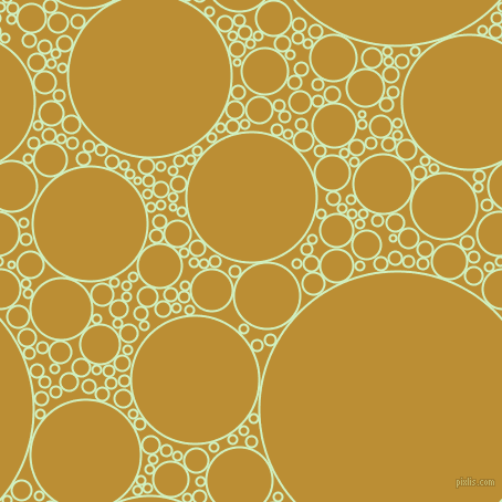 bubbles, circles, sponge, big, medium, small, 2 pixel line width, Tea Green and Hokey Pokey circles bubbles sponge soap seamless tileable