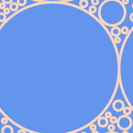 bubbles, circles, sponge, big, medium, small, 9 pixel line width, Tuft Bush and Cornflower Blue circles bubbles sponge soap seamless tileable