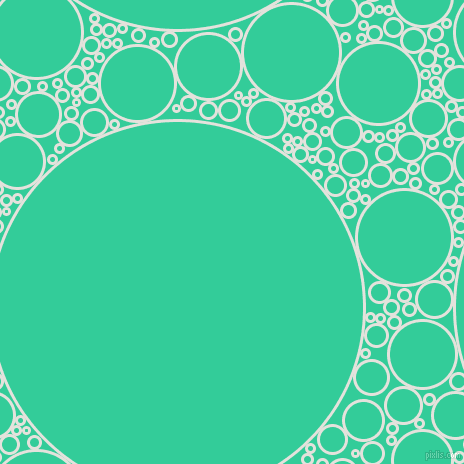 bubbles, circles, sponge, big, medium, small, 3 pixel line width, Wan White and Shamrock circles bubbles sponge soap seamless tileable