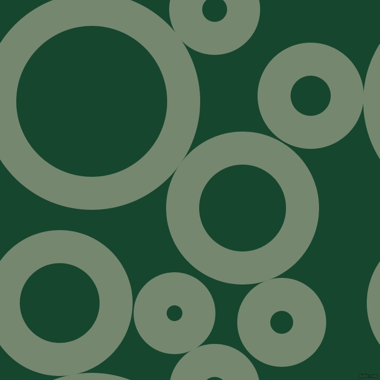 bubbles, circles, sponge, big, medium, small, 65 pixel line width, Xanadu and Zuccini circles bubbles sponge soap seamless tileable