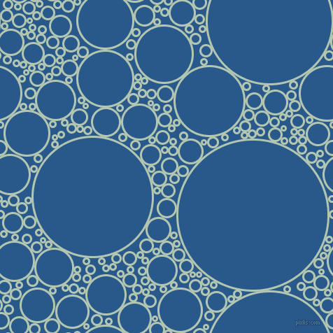 bubbles, circles, sponge, big, medium, small, 3 pixel line width, Zanah and Endeavour circles bubbles sponge soap seamless tileable
