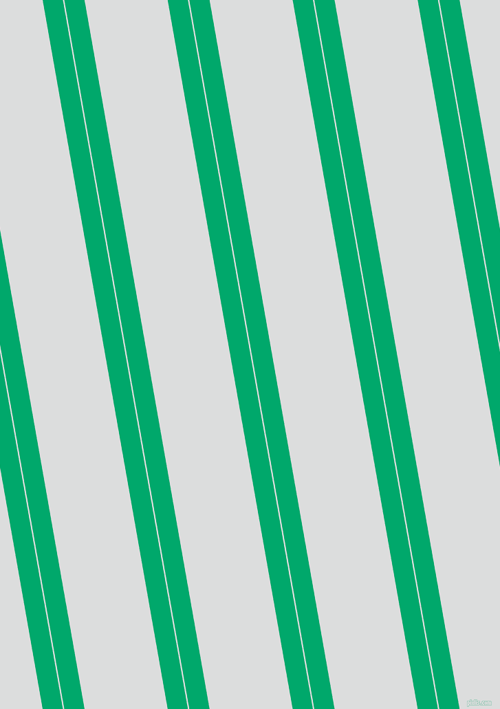 100 degree angle dual striped lines, 29 pixel lines width, 2 and 119 pixel line spacing, dual two line striped seamless tileable