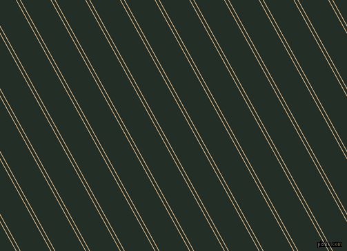 119 degree angles dual stripes line, 1 pixel line width, 4 and 38 pixels line spacing, dual two line striped seamless tileable