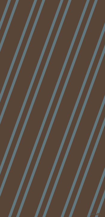 70 degree angles dual stripes line, 9 pixel line width, 16 and 48 pixels line spacing, dual two line striped seamless tileable