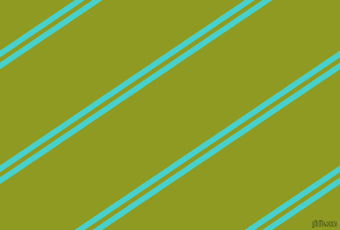 34 degree angles dual stripe lines, 8 pixel lines width, 6 and 113 pixels line spacing, dual two line striped seamless tileable