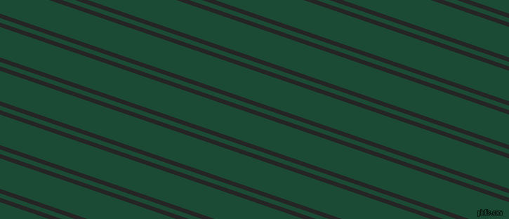 161 degree angles dual stripe line, 6 pixel line width, 6 and 41 pixels line spacing, dual two line striped seamless tileable