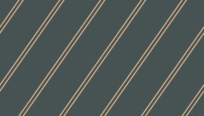 55 degree angles dual stripes line, 4 pixel line width, 8 and 101 pixels line spacing, dual two line striped seamless tileable
