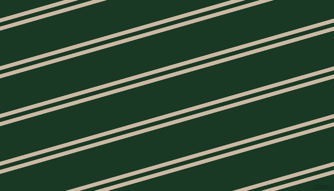 16 degree angles dual striped line, 8 pixel line width, 8 and 70 pixels line spacing, dual two line striped seamless tileable