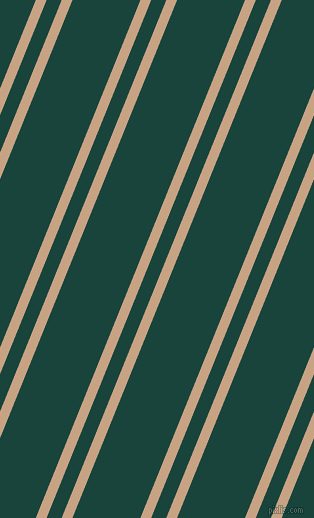 68 degree angle dual stripe lines, 10 pixel lines width, 14 and 63 pixel line spacing, dual two line striped seamless tileable