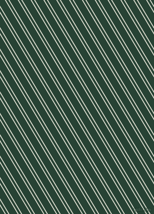 121 degree angle dual striped line, 2 pixel line width, 4 and 14 pixel line spacing, dual two line striped seamless tileable
