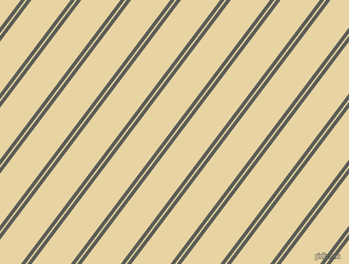 53 degree angle dual stripes lines, 5 pixel lines width, 2 and 44 pixel line spacing, dual two line striped seamless tileable