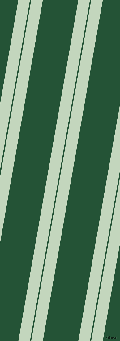 80 degree angles dual stripes lines, 37 pixel lines width, 4 and 113 pixels line spacing, dual two line striped seamless tileable