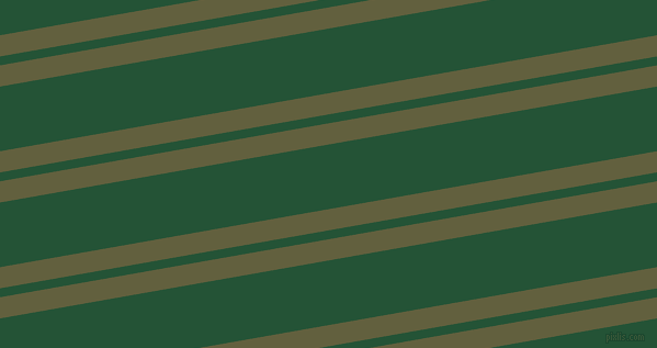 10 degree angle dual striped line, 19 pixel line width, 8 and 58 pixel line spacing, dual two line striped seamless tileable