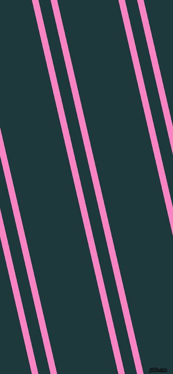 103 degree angles dual striped lines, 13 pixel lines width, 24 and 121 pixels line spacing, dual two line striped seamless tileable