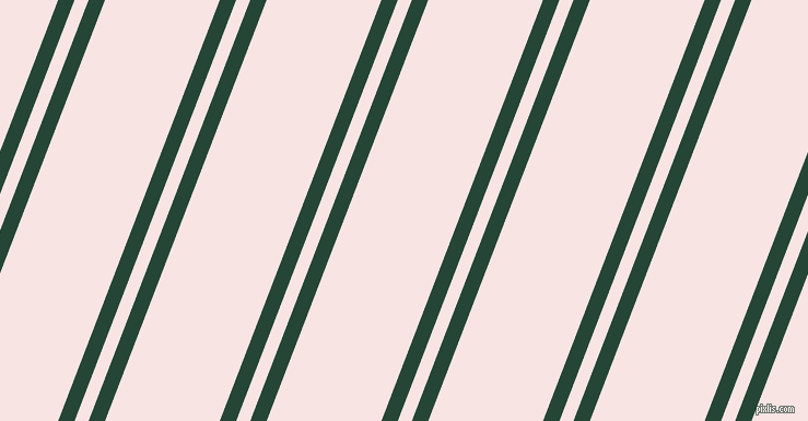 69 degree angle dual striped lines, 14 pixel lines width, 12 and 98 pixel line spacing, dual two line striped seamless tileable
