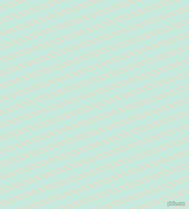 19 degree angles dual stripe lines, 2 pixel lines width, 4 and 17 pixels line spacing, Almond and Mint Tulip dual two line striped seamless tileable