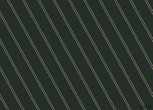 119 degree angles dual stripes line, 1 pixel line width, 4 and 38 pixels line spacing, Burly Wood and Black Bean dual two line striped seamless tileable