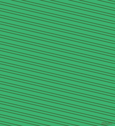 167 degree angle dual stripe line, 2 pixel line width, 6 and 12 pixel line spacing, Green House and Medium Sea Green dual two line striped seamless tileable