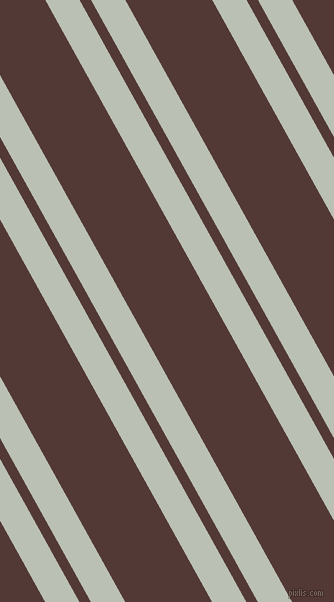 119 degree angle dual striped lines, 30 pixel lines width, 10 and 76 pixel line spacing, Tasman and Van Cleef dual two line striped seamless tileable