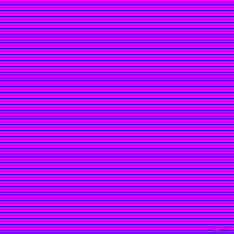 horizontal lines stripes, 2 pixel line width, 4 pixel line spacing, Blue and Magenta horizontal lines and stripes seamless tileable