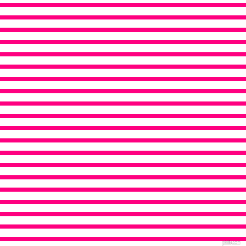 horizontal lines stripes, 8 pixel line width, 16 pixel line spacing, Deep Pink and White horizontal lines and stripes seamless tileable