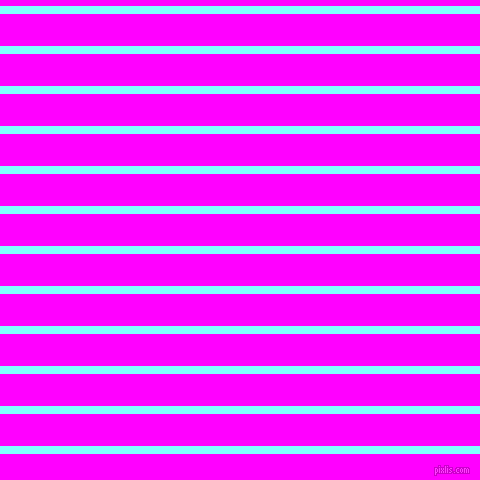 horizontal lines stripes, 8 pixel line width, 32 pixel line spacing, Electric Blue and Magenta horizontal lines and stripes seamless tileable