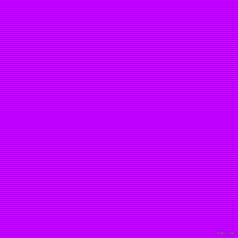 horizontal lines stripes, 2 pixel line width, 2 pixel line spacing, Electric Indigo and Magenta horizontal lines and stripes seamless tileable