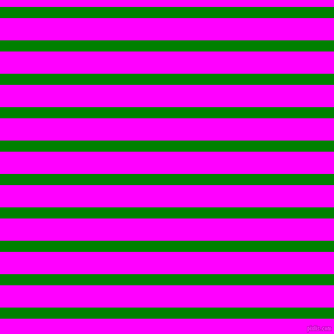 horizontal lines stripes, 16 pixel line width, 32 pixel line spacing, Green and Magenta horizontal lines and stripes seamless tileable