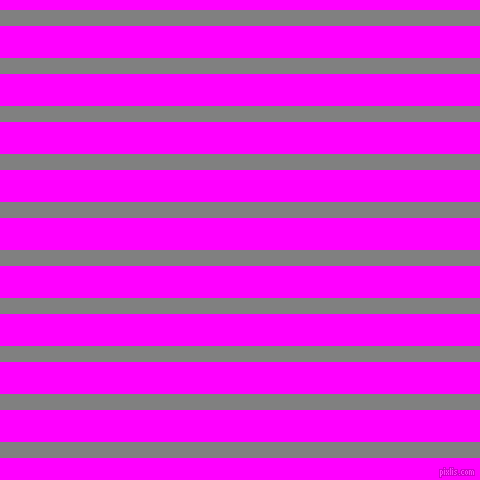 horizontal lines stripes, 16 pixel line width, 32 pixel line spacing, Grey and Magenta horizontal lines and stripes seamless tileable