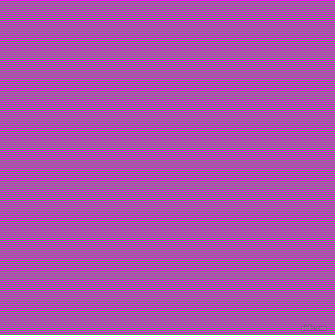 horizontal lines stripes, 1 pixel line width, 2 pixel line spacing, Lime and Magenta horizontal lines and stripes seamless tileable