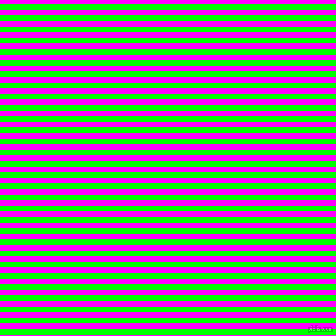 horizontal lines stripes, 8 pixel line width, 8 pixel line spacing, Lime and Magenta horizontal lines and stripes seamless tileable