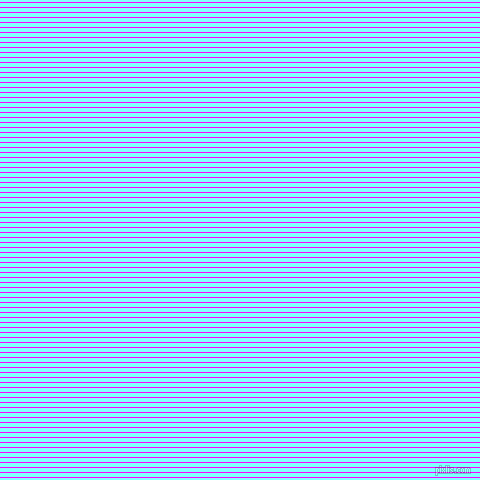 horizontal lines stripes, 1 pixel line width, 4 pixel line spacing, Magenta and Electric Blue horizontal lines and stripes seamless tileable